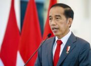 Presiden Jokowi Bahas Solusi Damai Rusia-Ukraina dengan Pemimpin Dunia