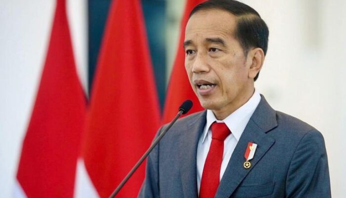 Presiden Jokowi Bahas Solusi Damai Rusia-Ukraina dengan Pemimpin Dunia