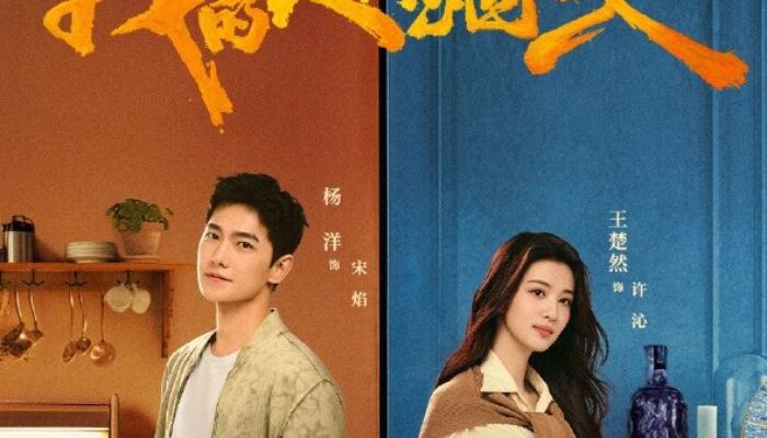 Drama China Terbaru Fireworks Of My Heart 2023