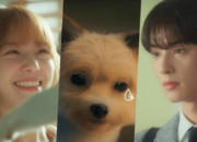 Sinopsis Drakor Terbaru A GOOD DAY TO BE A DOG, Dibintangi Chan Eun Woo