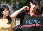 Serial Drama Korea My ID is Gangnam Beauty Dapat Ditonton di Netflix dan iQIYI