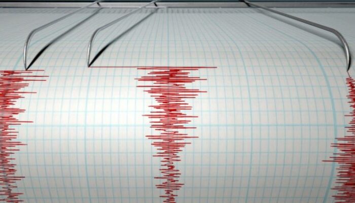 Gempa Bumi M4,8 Guncang Halmahera Utara